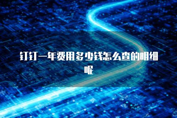 钉钉一年费用多少钱怎么查的明细呢
