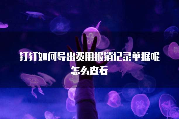 钉钉如何导出费用报销记录单据呢怎么查看