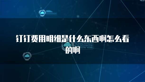 钉钉费用明细是什么东西啊怎么看的啊