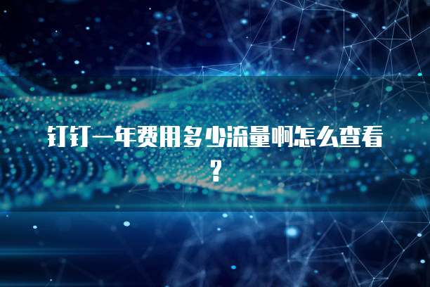 钉钉一年费用多少流量啊怎么查看?