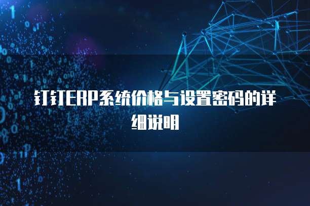 钉钉ERP系统价格与设置密码的详细说明