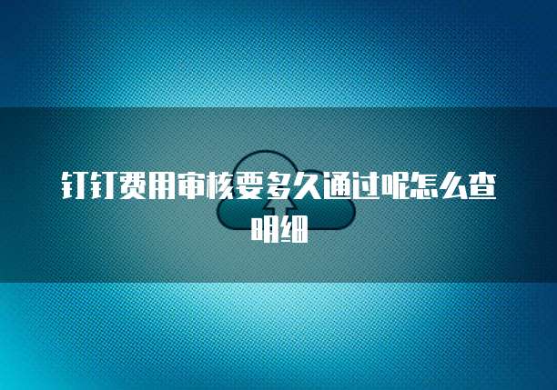 钉钉费用审核要多久通过呢怎么查明细