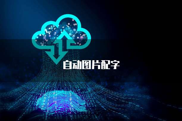 阿里云服务器可以安装几个系统吗