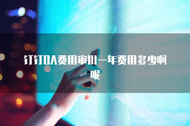 钉钉OA费用审批一年费用多少啊呢