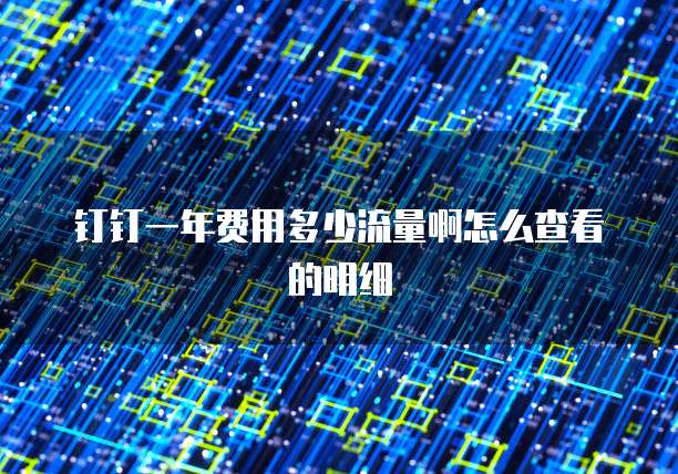钉钉一年费用多少流量啊怎么查看的明细
