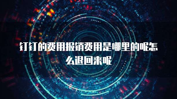 钉钉的费用报销费用是哪里的呢怎么退回来呢