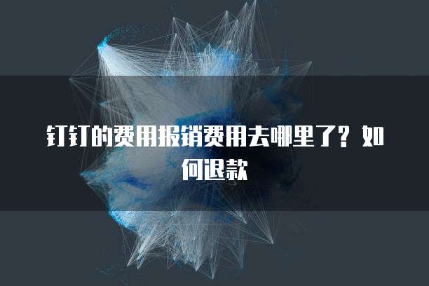 钉钉的费用报销费用去哪里了? 如何退款