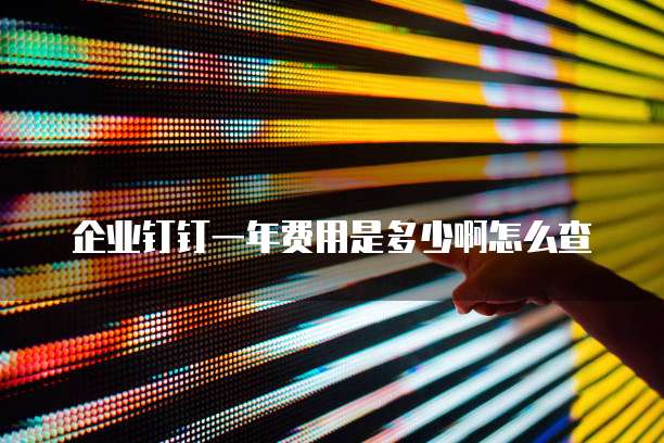 企业钉钉一年费用是多少啊怎么查