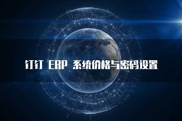 钉钉 ERP 系统价格与密码设置