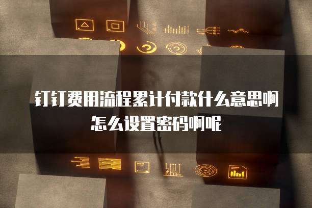 钉钉费用流程累计付款什么意思啊怎么设置密码啊呢