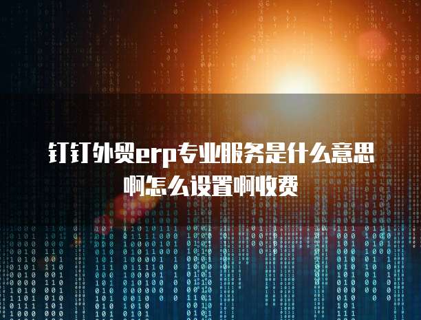 钉钉外贸erp专业服务是什么意思啊怎么设置啊收费