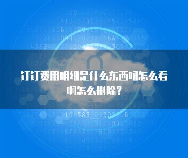 钉钉费用明细是什么东西呀怎么看啊怎么删除?
