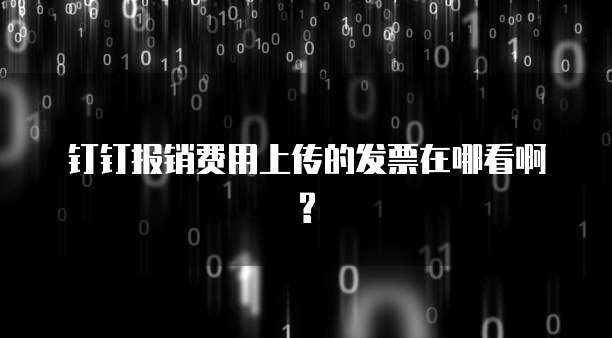钉钉报销费用上传的发票在哪看啊?