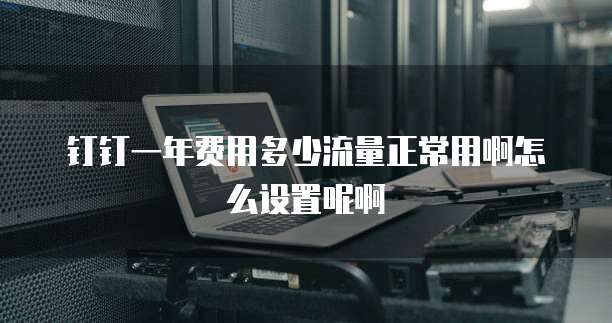 钉钉一年费用多少流量正常用啊怎么设置呢啊