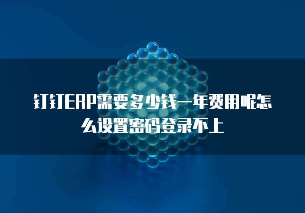 钉钉ERP需要多少钱一年费用呢怎么设置密码登录不上