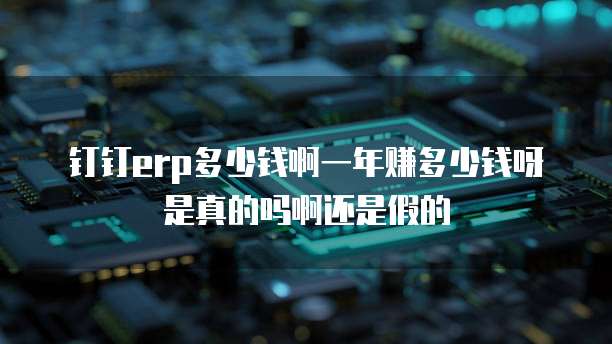 钉钉erp多少钱啊一年赚多少钱呀是真的吗啊还是假的