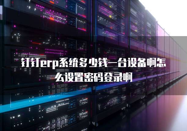 钉钉erp系统多少钱一台设备啊怎么设置密码登录啊