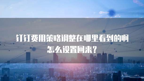 钉钉费用策略调整在哪里看到的啊怎么设置回来?