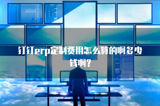 钉钉erp定制费用怎么算的啊多少钱啊？