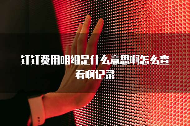 钉钉费用明细是什么意思啊怎么查看啊记录