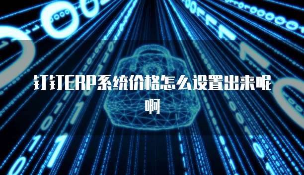 钉钉ERP系统价格怎么设置出来呢啊
