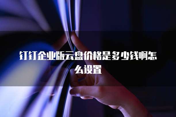钉钉企业版云盘价格是多少钱啊怎么设置