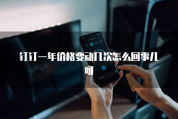 钉钉一年价格变动几次怎么回事儿呀