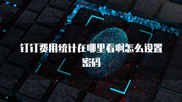 钉钉费用统计在哪里看啊怎么设置密码