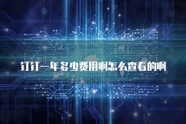 钉钉一年多少费用啊怎么查看的啊