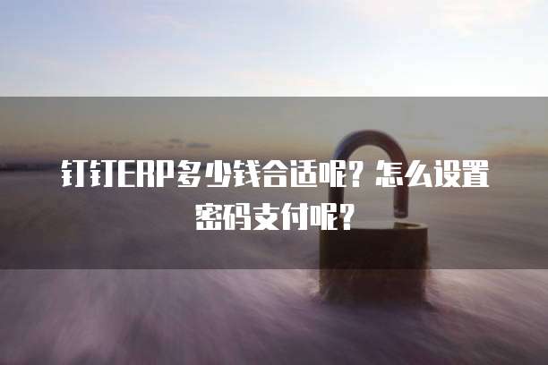 钉钉ERP多少钱合适呢?怎么设置密码支付呢?