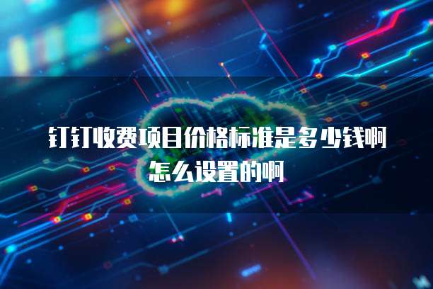 钉钉收费项目价格标准是多少钱啊怎么设置的啊