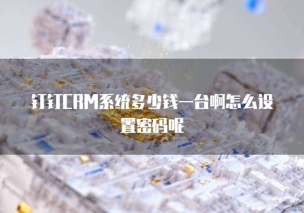 钉钉CRM系统多少钱一台啊怎么设置密码呢