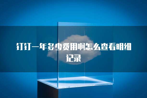 钉钉一年多少费用啊怎么查看明细记录