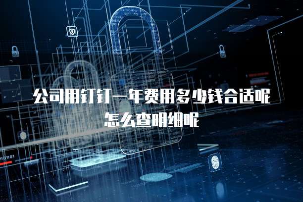 公司用钉钉一年费用多少钱合适呢怎么查明细呢