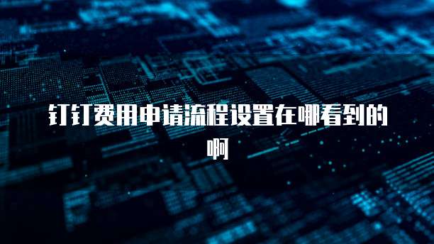 钉钉费用申请流程设置在哪看到的啊