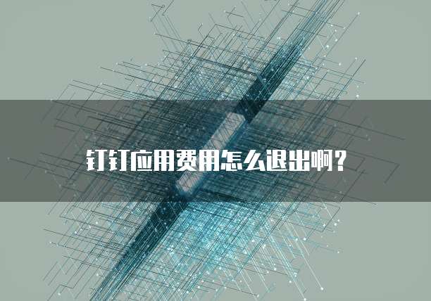 钉钉应用费用怎么退出啊?