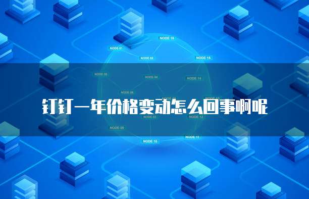 钉钉一年价格变动怎么回事啊呢