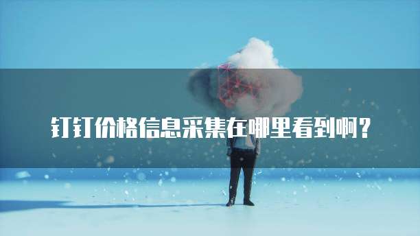 钉钉价格信息采集在哪里看到啊？