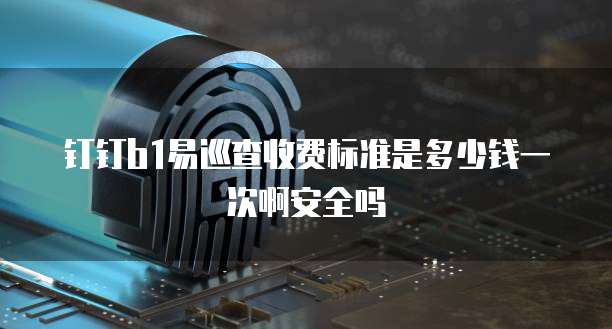 钉钉b1易巡查收费标准是多少钱一次啊安全吗