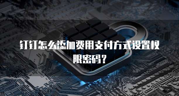 钉钉怎么添加费用支付方式设置权限密码?