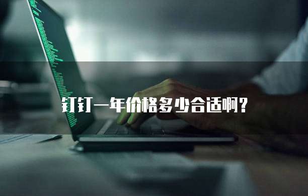 钉钉一年价格多少合适啊?