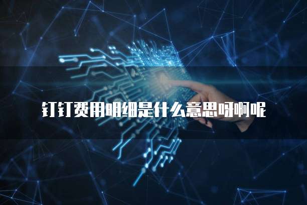 钉钉费用明细是什么意思呀啊呢
