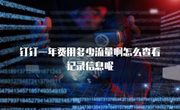 钉钉一年费用多少流量啊怎么查看记录信息呢