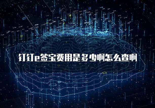 钉钉e签宝费用是多少啊怎么查啊