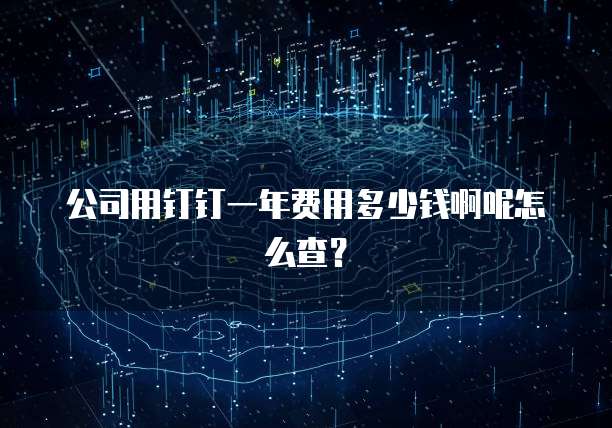 公司用钉钉一年费用多少钱啊呢怎么查？