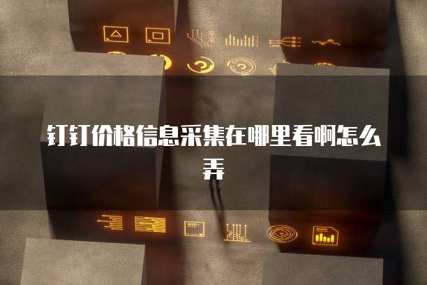 钉钉价格信息采集在哪里看啊怎么弄