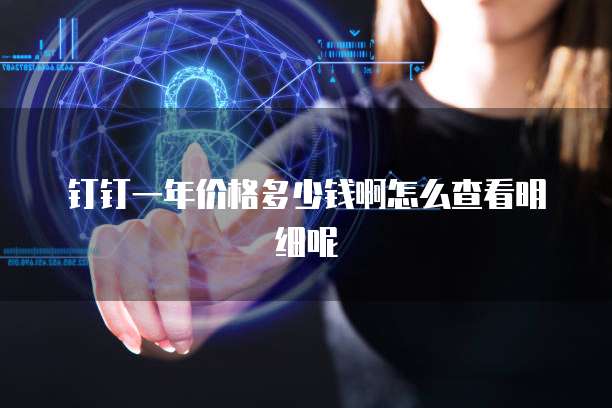 钉钉一年价格多少钱啊怎么查看明细呢