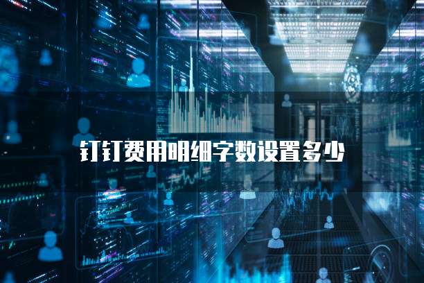钉钉费用明细字数设置多少