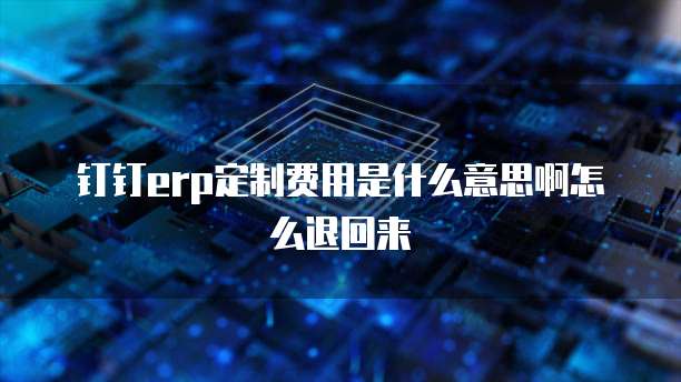 钉钉erp定制费用是什么意思啊怎么退回来
