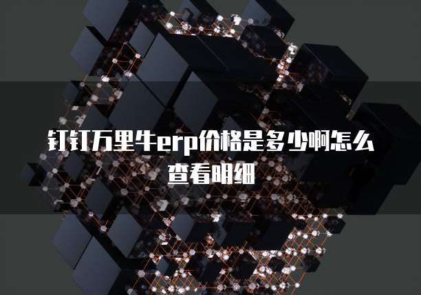 钉钉万里牛erp价格是多少啊怎么查看明细